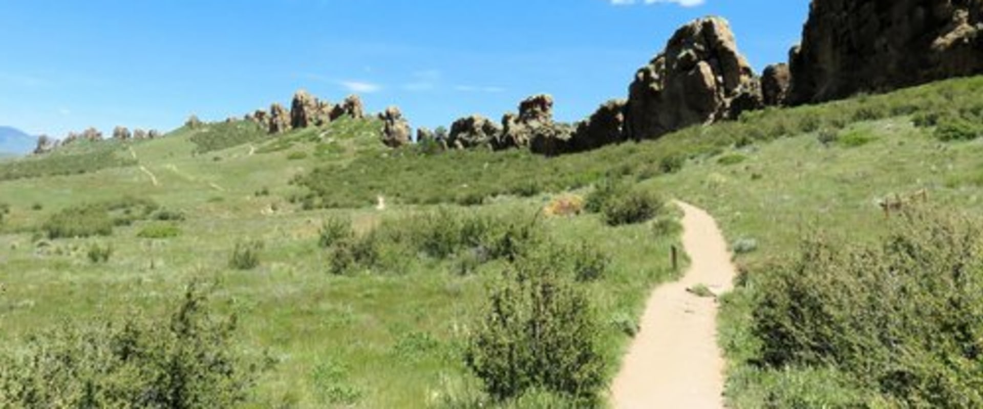 Exploring the Thrilling Devil's Backbone Trail in Louisiana