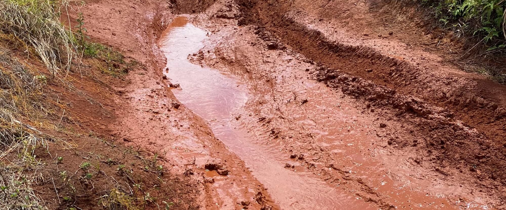 Steering Techniques for Off-Roading in Louisiana