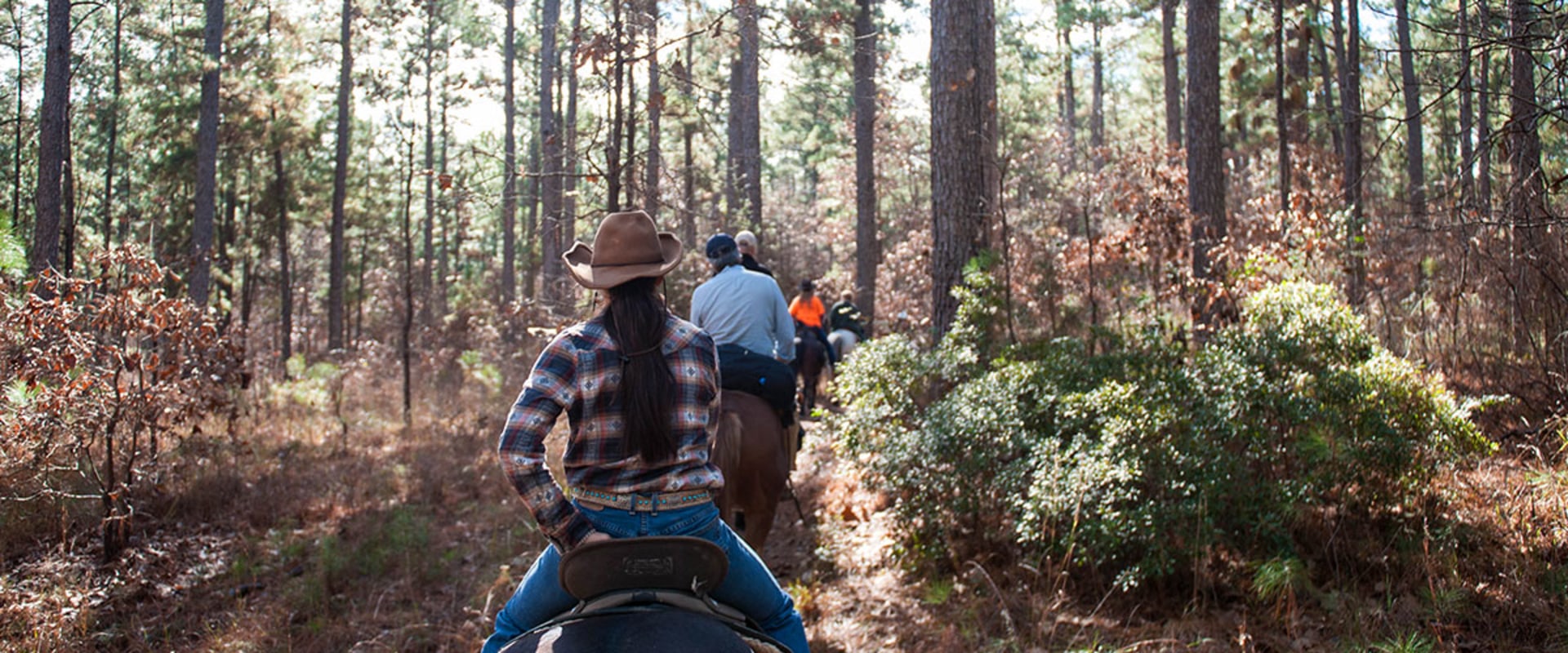 Discovering the Exciting Kisatchie Hills Wilderness Area Trail