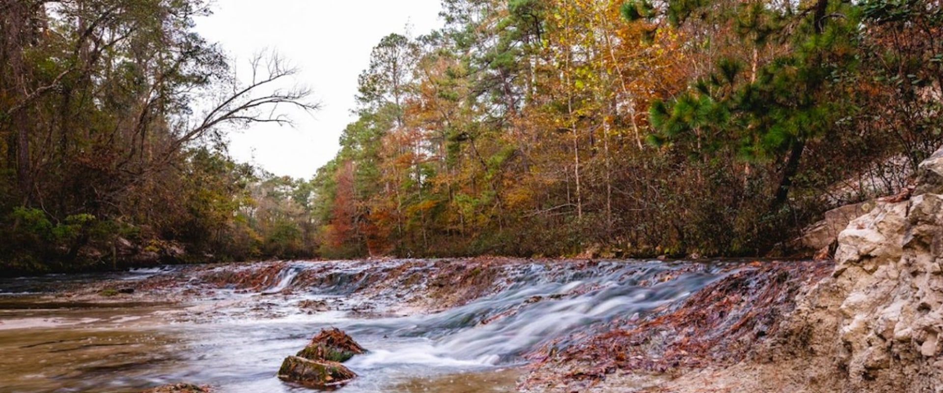 The Kisatchie Bayou Trail: Discover the Best Off-Roading Experience in Louisiana