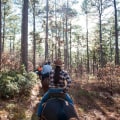 Discovering the Exciting Kisatchie Hills Wilderness Area Trail